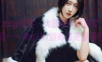 HuaYang花漾 – 大腿根本不重要，重要的是——宋KiKi的高清美脚图包！