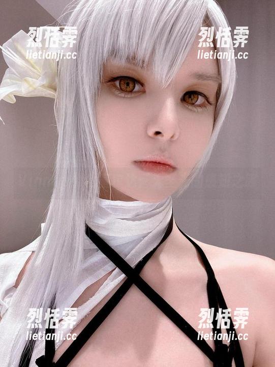 Vinnegal Vinnegal的塞尔达:无圣光的感知之旅