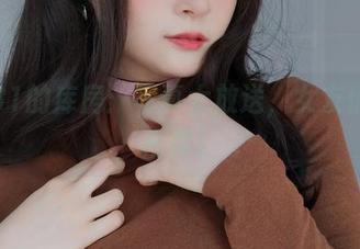 白银81的库房：写真大放送，女友们纷纷出阵！
